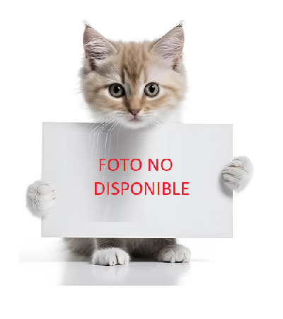 service_photo
